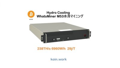 Whatsminer M53 238T